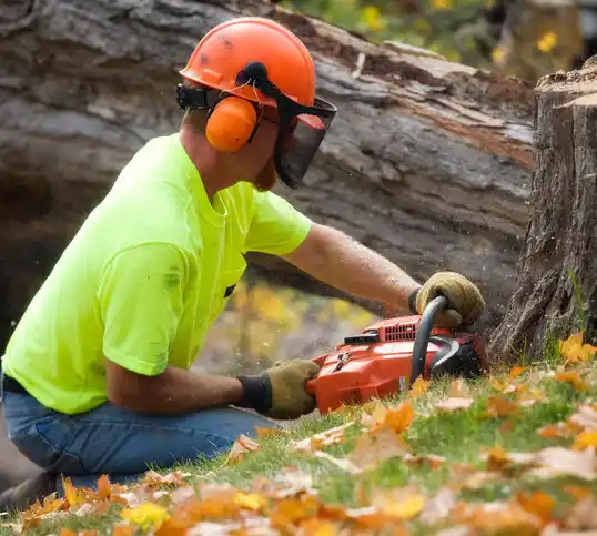 tree services Arapahoe